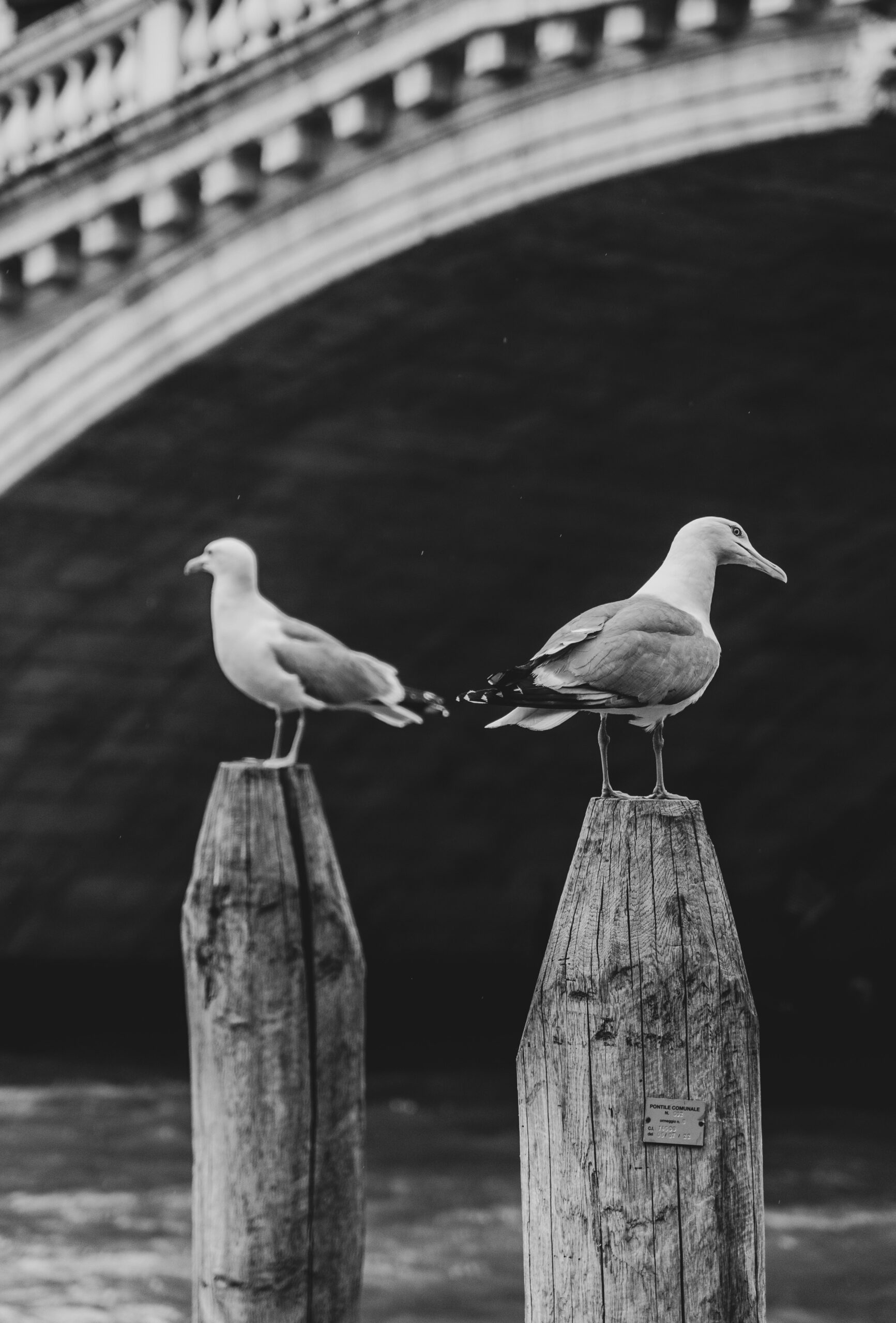 Kommunikation WEG energetische Sanierung Mehrfamilienhaus - Typische Konflikte bei der Kommunikation mit der WEG